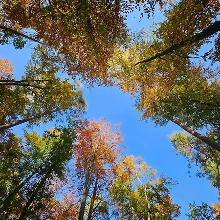 Apartament Liebevoll Eingerichtetes Rechlin